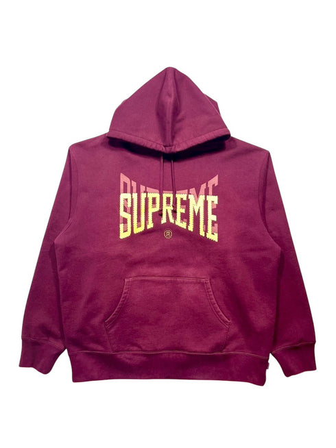 アーチロゴスウェットパーカー