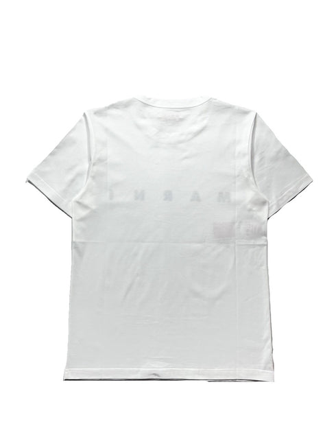 コットンロゴTシャツ